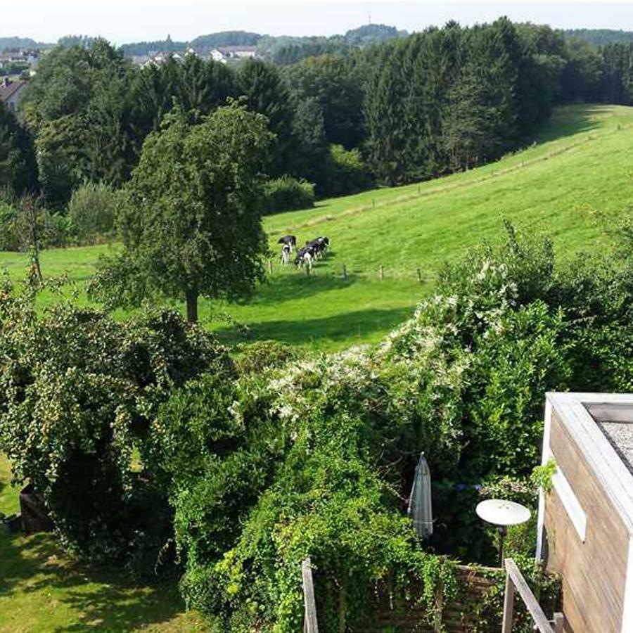 Hotel Eikamper Hoehe Odenthal Exteriér fotografie